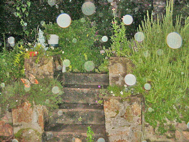 Orbs in Graveyard. Image 2: White light orbs of various sizes,