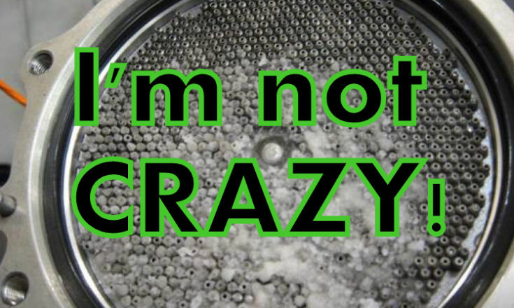 I'm Not Crazy: The Truth Denied Article