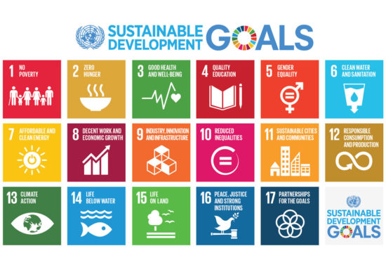 Sustainable Development Goals for AGENDA 2030