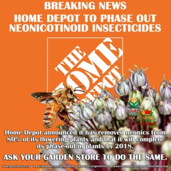 Coalition presses for all retailers to make commitment to protect bees WASHINGTON - Home Depot (NYSE: HD), the world’s largest home-improvement chain, has announced that it has removed neonicotinoid pesticides, a leading driver of global bee declines, from 80 percent of its flowering plants and that it will complete its phase-out in plants by 2018. This announcement follows an ongoing campaign and letter by Friends of the Earth and allies urging Home Depot to stop selling plants treated with neonicotinoids and remove neonic pesticides from store shelves. “Home Depot’s progress in removing neonics shows it is listening to consumer concerns and to the growing body of science telling us we need to move away from bee-toxic pesticides,” said Lisa Archer, Food and Technology program director at Friends of the Earth U.S. “However, we know that Home Depot and other retailers can do even more to address the bee crisis. Along with allies, we will continue to challenge retailers to engage in a race to the top to move bee-toxic pesticides off their shelves and out of garden plants as soon as possible. Bees are the canary in the coal mine for our food system and everyone, including the business community, must act quickly to protect them.” 